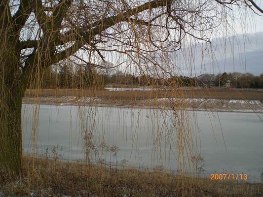 Resize of CIMG0519.JPG